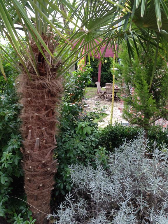 Les Jardins Carnot Hotell Compiègne Rom bilde